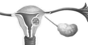 20131015-t1YvlpyeUiKnyNRRx5axg