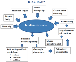 Inzulinrezisztencia vizsgálat, laborcsomag - Medicover Labor